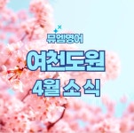 뮤엠영어 여천도원학원