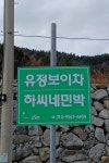 유정보이차