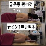 문스킨앤바디
