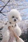 멍데이유치원