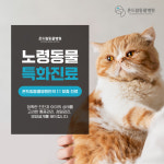 김해온드림동물병원