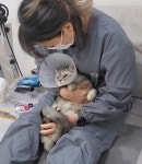 고양이무마취미용 묘갱살롱