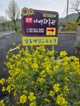 빛솔 체험교육농장