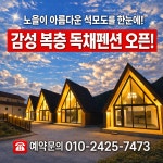 가우디움펜션