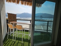 파레사애견풀빌라