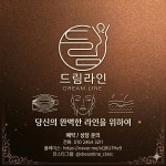 드림라인