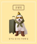 견출지 애견유치원 호텔 그루밍 김포점