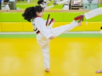바르게태권도장