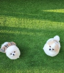 지리산 시크릿가든