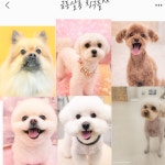 금동살롱