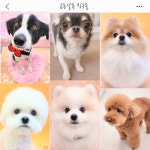 금동살롱