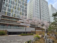 삼성공인중개사사무소