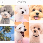 금동살롱