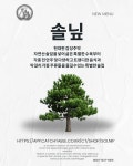 솔닢