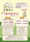 애견유치원 멍클래스