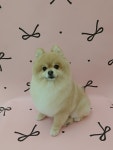 그루밍온