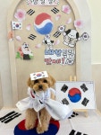 몽아시스 애견유치원 호텔