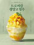 파리크라상 분당정자점