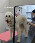 러브몽먼트