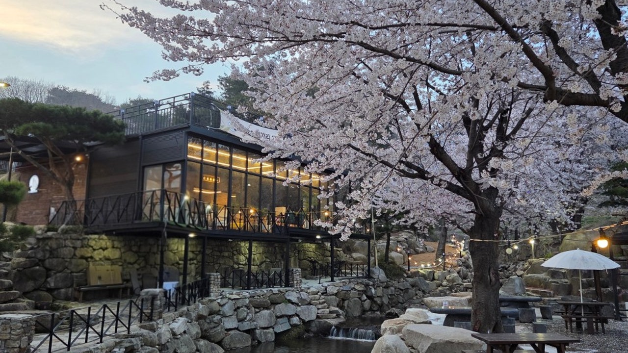 카페대치리155