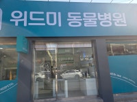 위드미동물병원