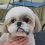 다듬다듬