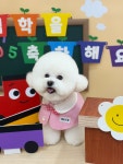 펫트리멍