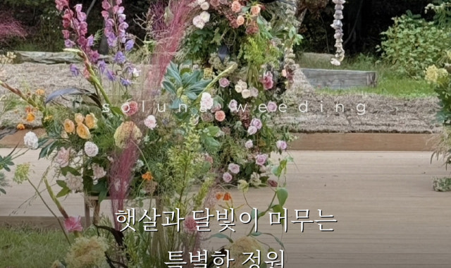 솔루나 사진 2