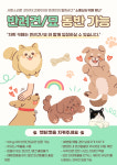 빛나