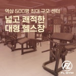 에프엘짐 역삼점