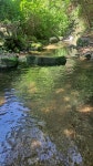 숲속의옹달샘