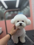 오늘THE이쁘개