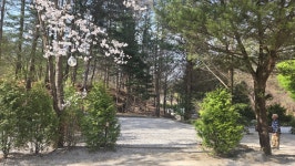 아버지의숲 산정캠프