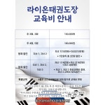 용인대석사라이온태권스쿨