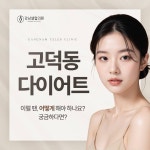 강남셀럽의원