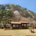 마당너른집