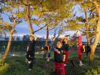 K타이거즈 서천태권도장