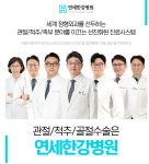 연세한강병원