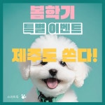 스마트독