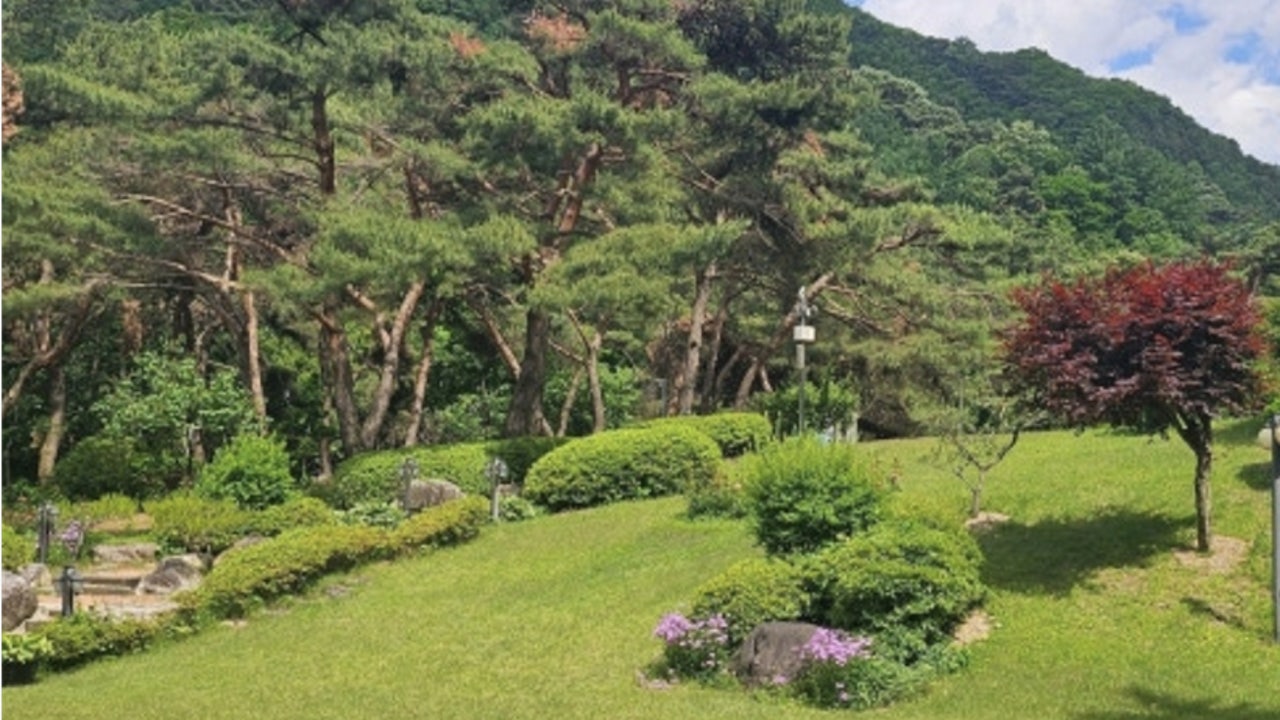 호수길133 카페