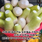 밤골식당