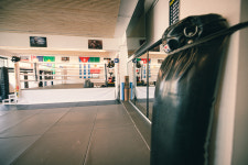 카프킥복싱MMA 강남