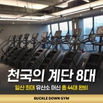버클다운짐 탄현점