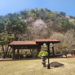 마당너른집
