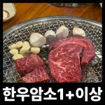 하나로한우명품 참숯불구이