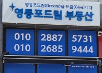 드림시드 사진 2