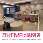 강남더뷰티성형외과의원