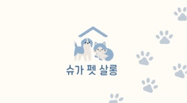 슈가펫살롱