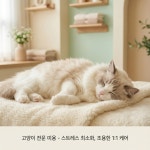 워킹펫