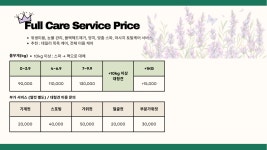 젤리펫살롱with아로마 인천송도점